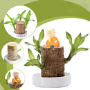 (COMPRE 1 LEVE 2) EcoLife™ – A Planta que Renasce e Transforma seu Espaço em Vida! + Monge de Brinde