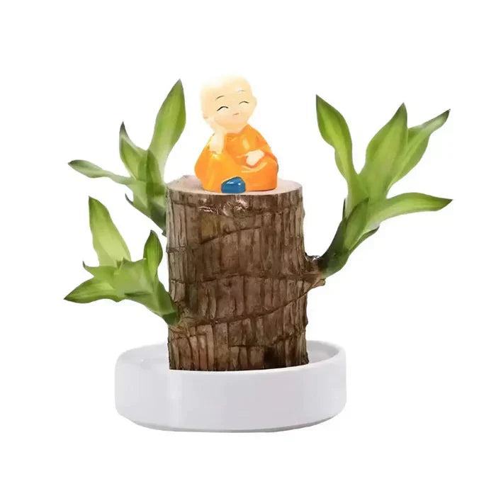 (COMPRE 1 LEVE 2) EcoLife™ – A Planta que Renasce e Transforma seu Espaço em Vida! + Monge de Brinde