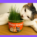 (COMPRE 1 LEVE 2) Mister Grama - Graminha para gatos
