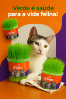 (COMPRE 1 LEVE 2) Mister Grama - Graminha para gatos