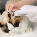 Kit BanhoFácil® – Limpeza Instantânea para Seu Pet, Sem Água e Sem Bagunça!