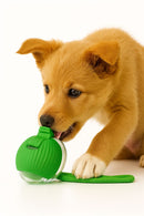 Bolinha Eletrônica Inteligente para Gatos e Cachorros