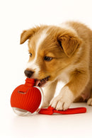 Bolinha Eletrônica Inteligente para Gatos e Cachorros