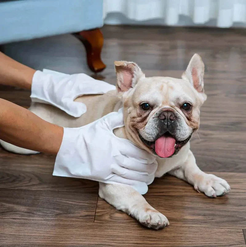Kit BanhoFácil® – Limpeza Instantânea para Seu Pet, Sem Água e Sem Bagunça!