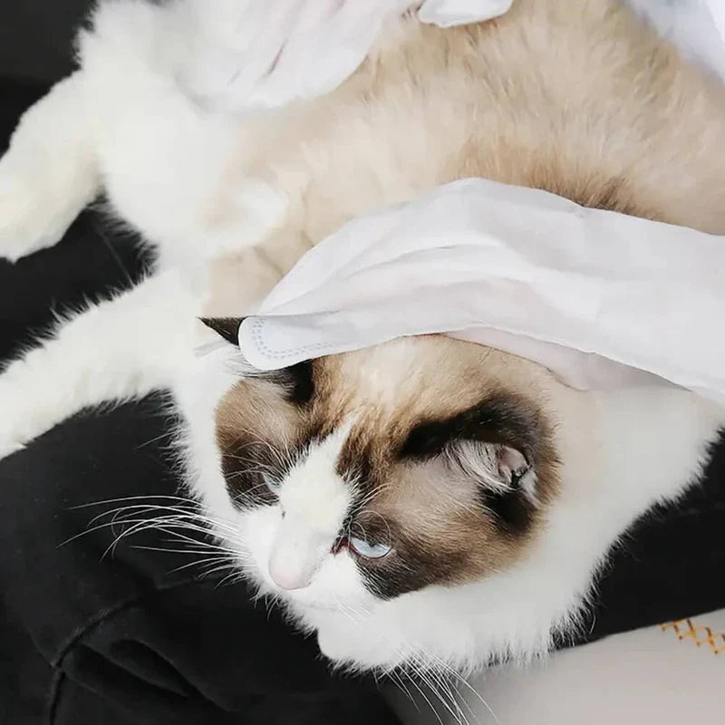 Kit BanhoFácil® – Limpeza Instantânea para Seu Pet, Sem Água e Sem Bagunça!