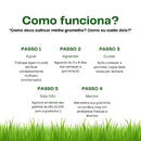 (COMPRE 1 LEVE 2) Mister Grama - Graminha para gatos