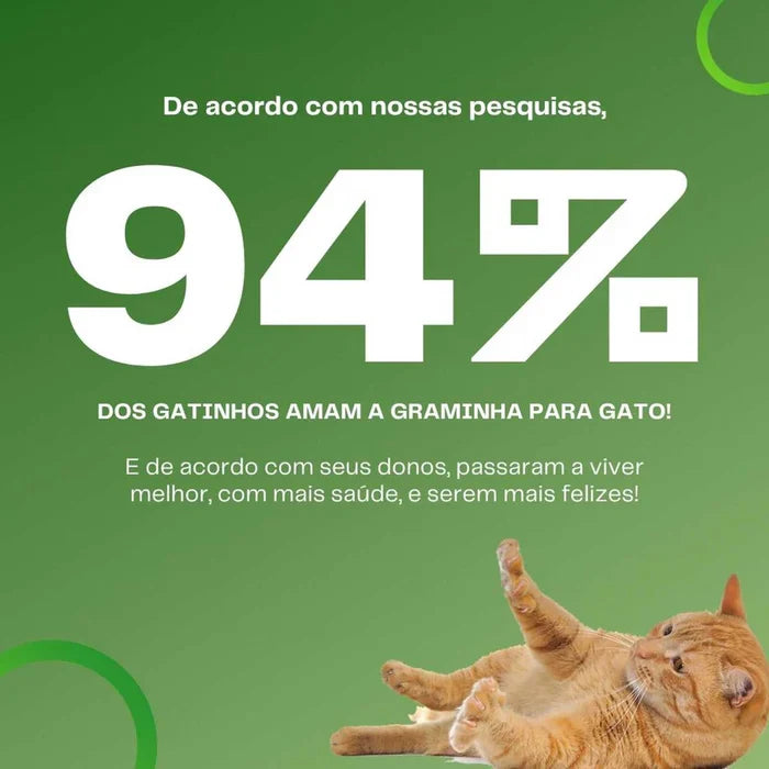 (COMPRE 1 LEVE 2) Mister Grama - Graminha para gatos